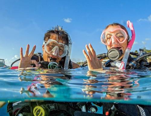 Scuba Diving Instructor