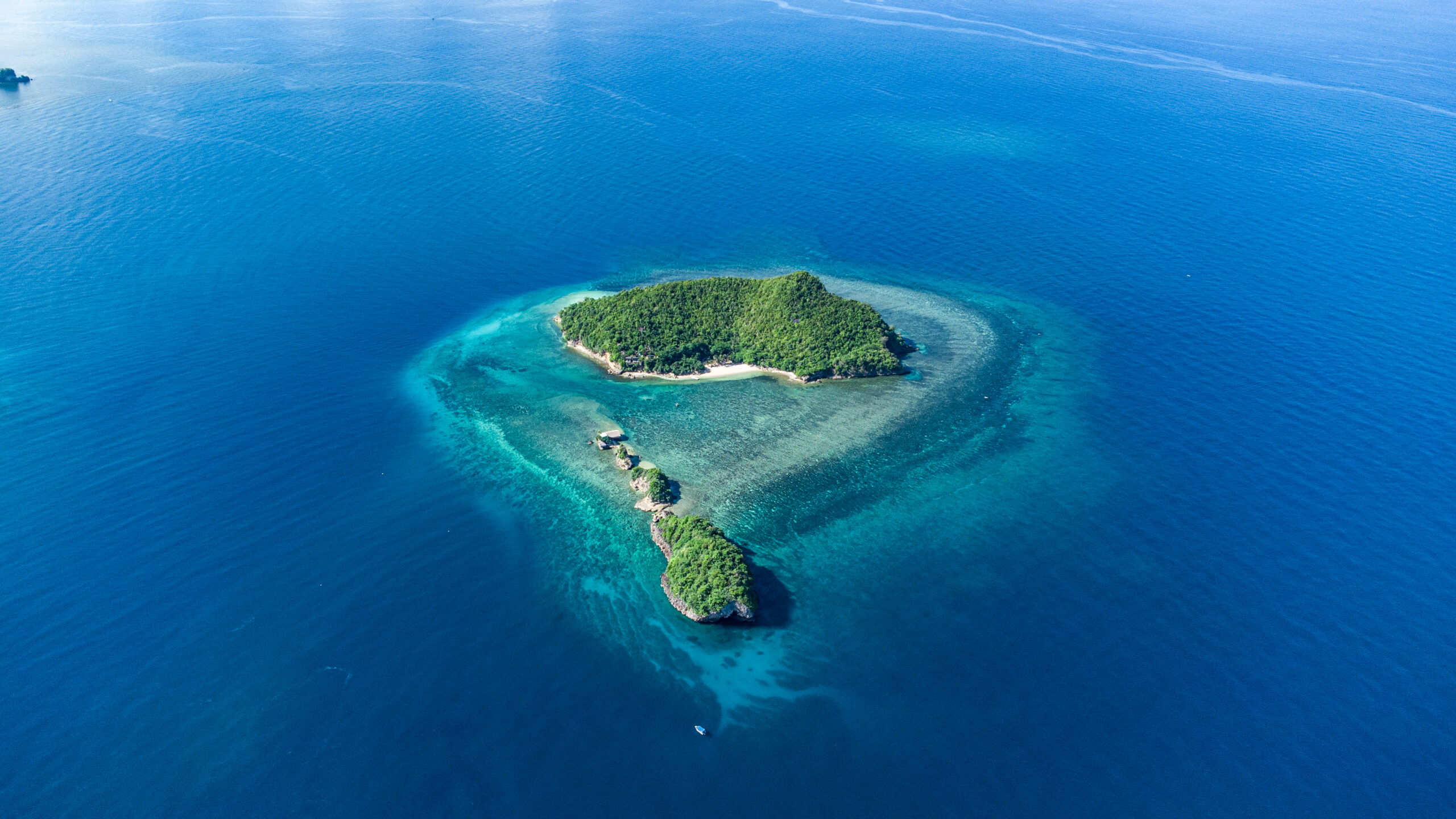 Turtle Island 
